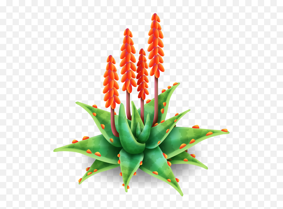 Aloe Vera Png Images Free - Aloe Flower Png,Aloe Vera Png