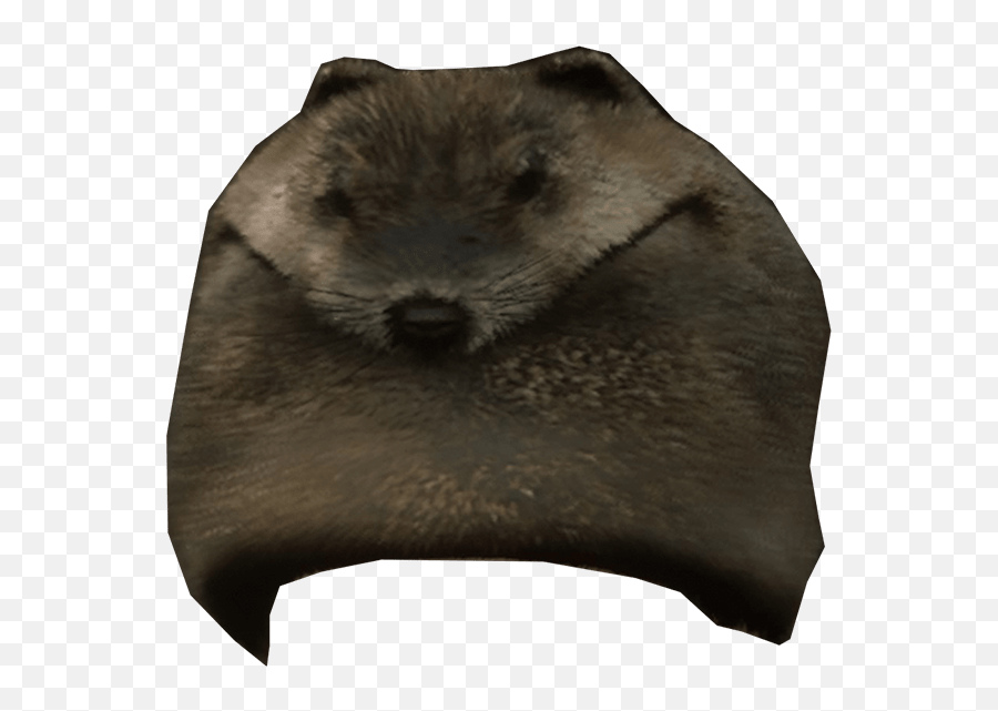 Beaver Mountain Hat Red Dead Redemption 2 Wiki - Beaver Hat Red Dead Png,Beaver Transparent