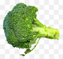 Free Photo Vegetable Nutrition Broccoli Healthy Cooking Food - Superfood png