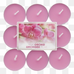 Download Pink Orchid Png Image With No Background - Girly,Orchid Png