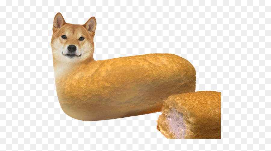 Image - Memes With No Background Png,Doge Transparent