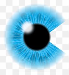 Captured Dimensions Png