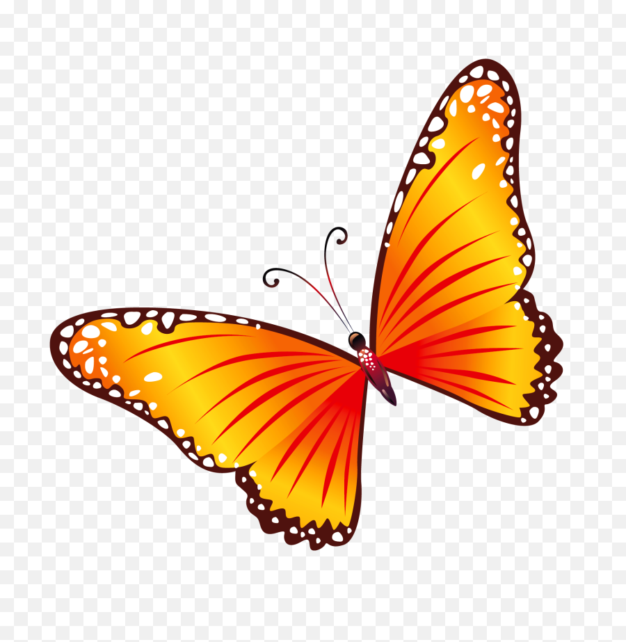 Moving Clipart Butterfly Transparent Free - Butterfly Clipart Png,Butterfly Transparent