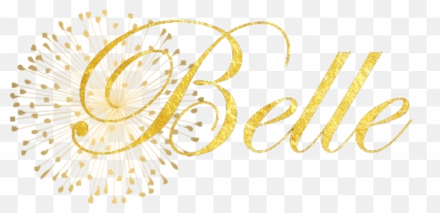 On The Twelfth Day Of Princess - Disney Fanpop Language png