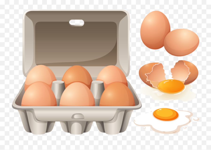 Scrambled Eggs Egg Carton - Carton Of Eggs Vector Png,Cracked Egg Png
