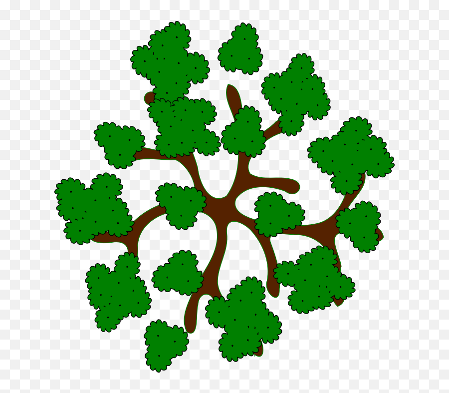 Library Of Tree Top Royalty Free Png Files - Top View Clipart Tree,Tree Plan Png