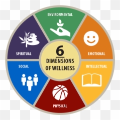Six Dimensions Of Wellness - Health Fitness And png