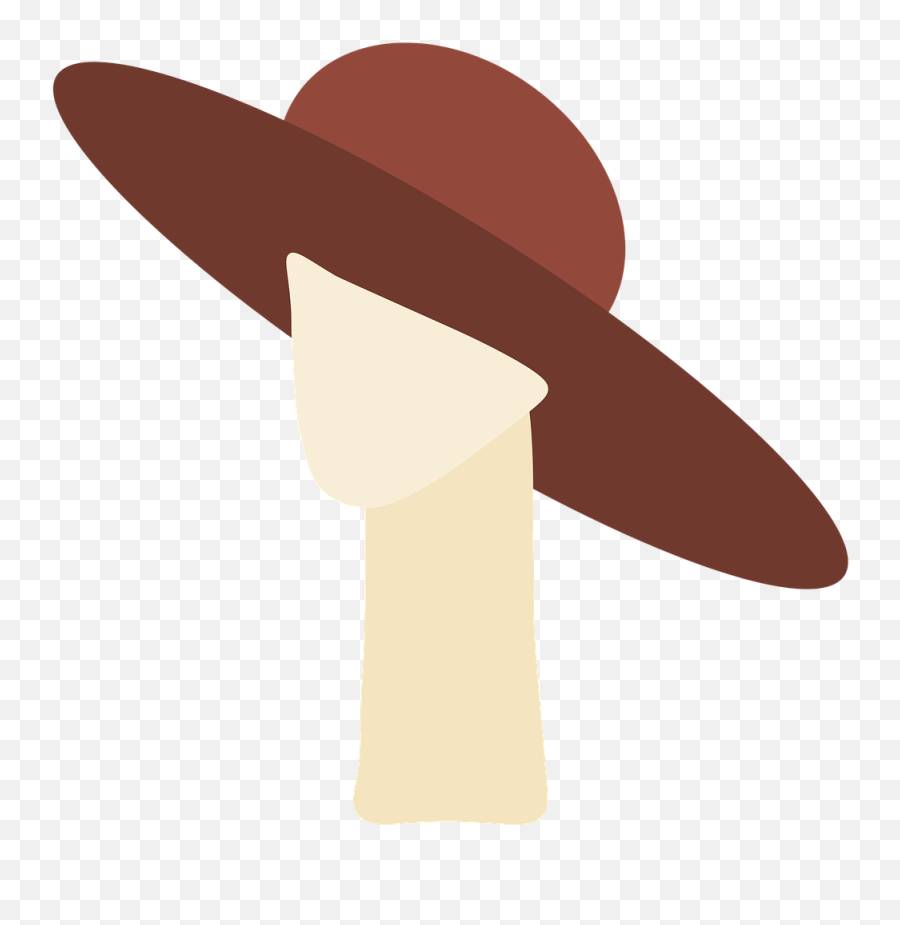 Fashion Mannequin Icon - Hat Mannequin Icon Png,Sun Hat Icon