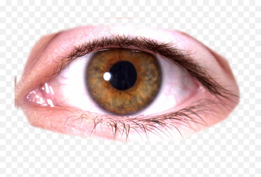 Eyes Png Images Free Download - Human Eye Transparent Background,Creepy Eye Png
