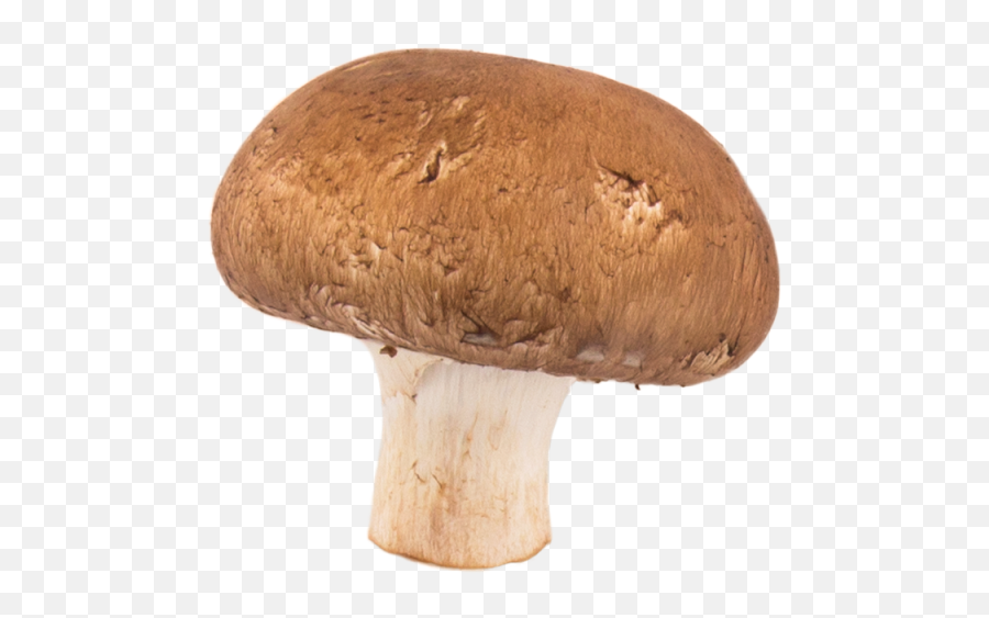 Mushroom Png Transparent Image - Mushroom For Pizza Transparent,Mushroom Png