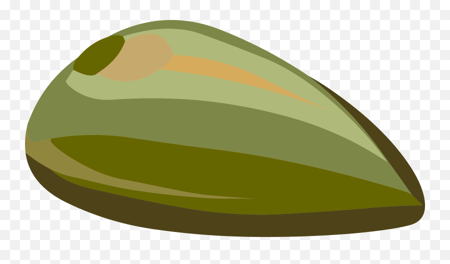 Seed Nut Green - Seed Transparent Png,Seed Png