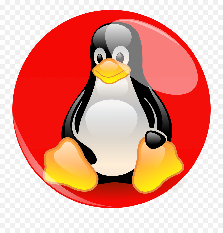 Tux Png And Vectors For Free Download - Red Hat Linux Penguin,Tux Png