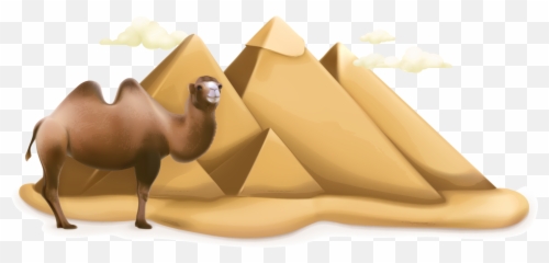 Camel Png - Camel Png Image U0026 Camel Png Clipart Free Pyramid Camels Png,Camel Png
