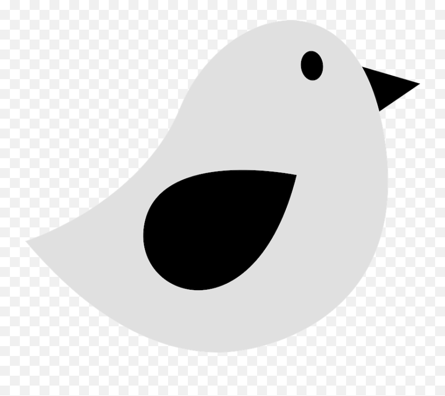 Bird Twitter Grey - Free Vector Graphic On Pixabay Grey Bird Clipart Png,Twitter Logo Vector