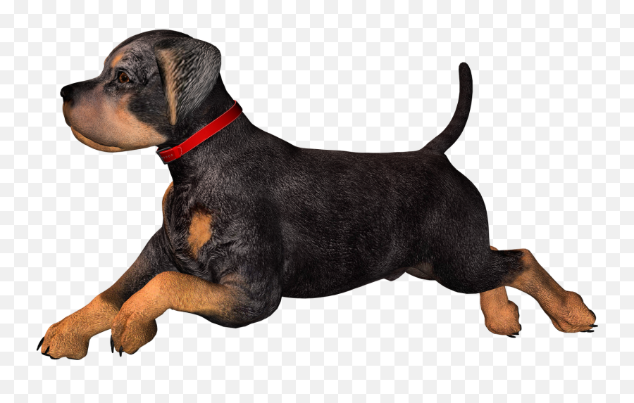 High Resolution Graphics And Clip Art - Dog Clip Art Png,High Resolution Png