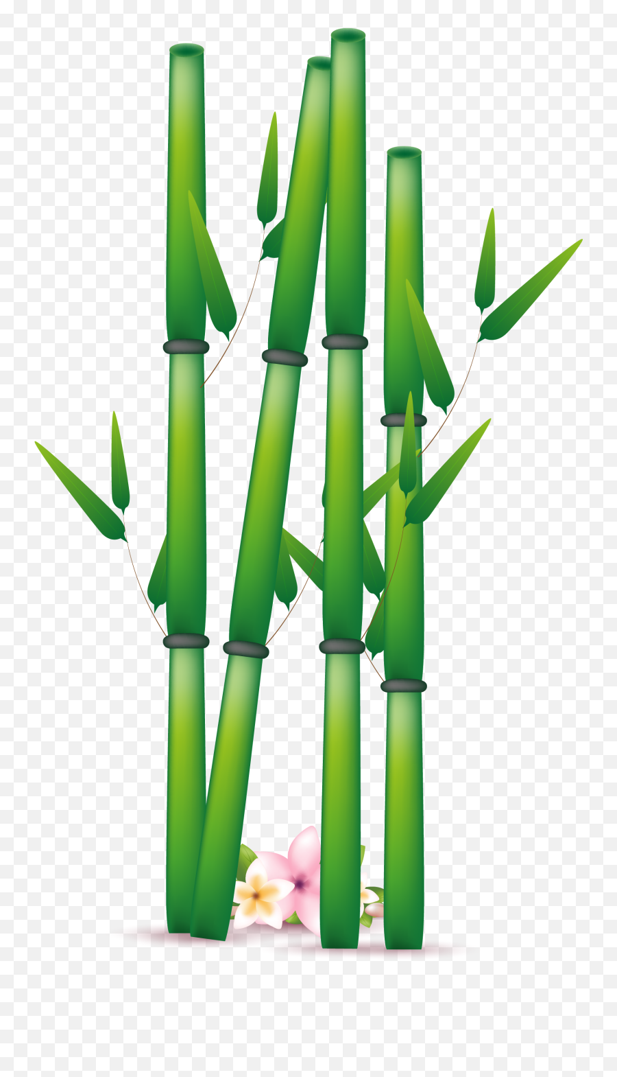 Download Hd Bamboo Png Transparent Free - Bambu Vector Png,Bamboo Transparent Background