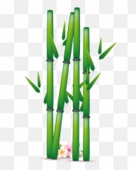 Download Hd Bamboo Png Transparent Free - Bambu Vector