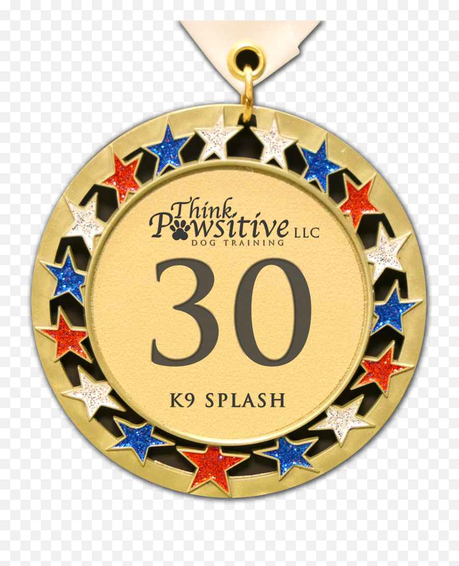 K9 Splash - Gold 30 Membership Pro 2 Dogs Png,Gold Splash Png