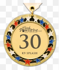 K9 Splash - Gold 30 Membership PRO 2 Dogs png
