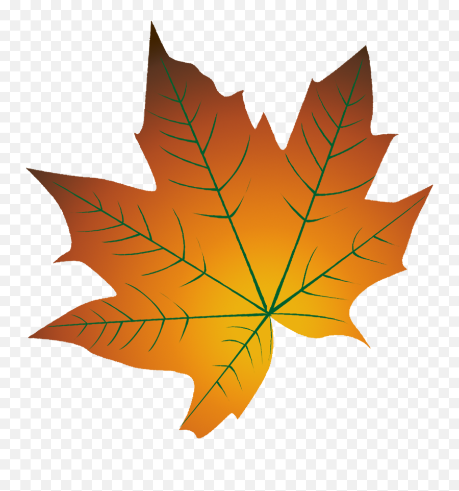 Download Hd Autumn Leaf Color Cartoon - Autumn Leaf Cartoon Transparent Png,Leaf  Cartoon Png - free transparent png images 