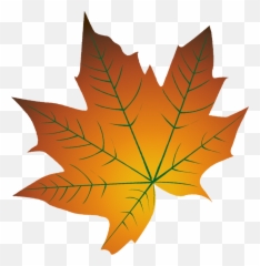 Download Hd Autumn Leaf Color Cartoon - Transparent png