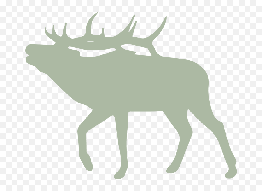 About U2014 Darcy Visscher - Elk Silhouette Transparent Background Png,Elk Png