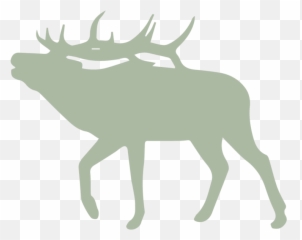 About U2014 Darcy Visscher - Elk Silhouette Transparent Background Png,Elk Png