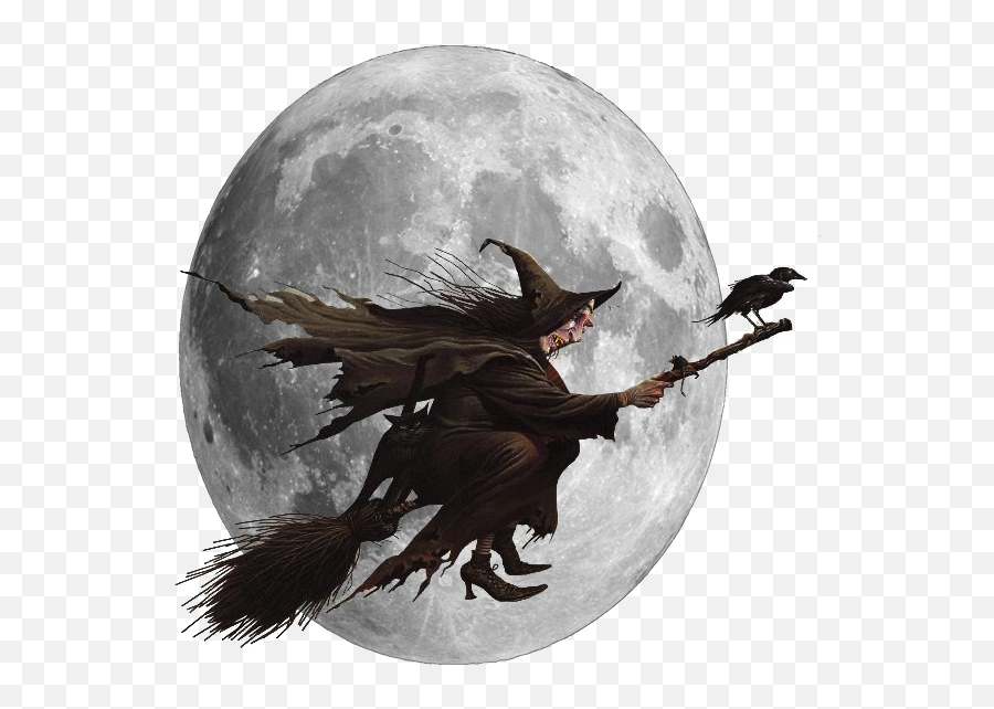 Image Result For Witch - Scary Witch On A Broom Png,Witch Transparent Background
