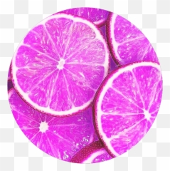 Circle Frut Limon Circulo Png Tumblr - Key Lime,Limon Png