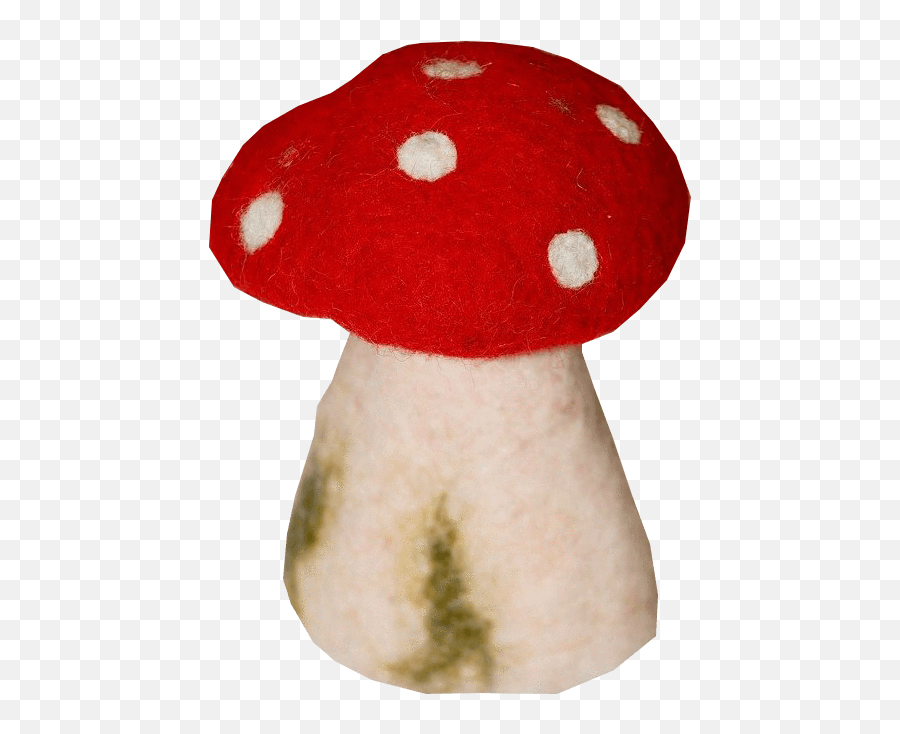 Toadstool Pictures - Shiitake Png,Toadstool Png