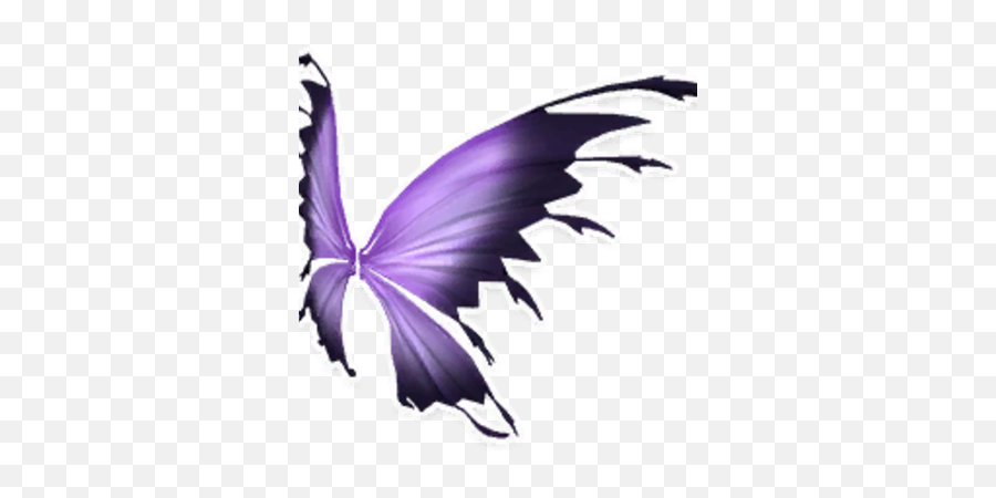 Purple Black Fairy Wings - Purple And Black Wings Fairy Png,Fairy Wings Png