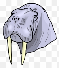 Download Svg Freeuse Free Walrus Clipart - Clip Art Dentes De Morsa Png,Walrus Png