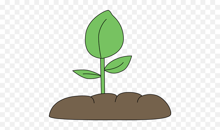 Free Seedlings Cliparts Download Clip Art - Bean Plant Clip Art Png,Seedling Png