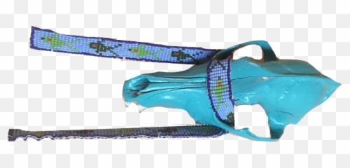 All The Skulls In Web Site - Turquoise png