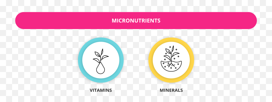 What Are Macronutrients And Micronutrients Getsmarter Blog - Vertical Png,Carbohydrates Icon