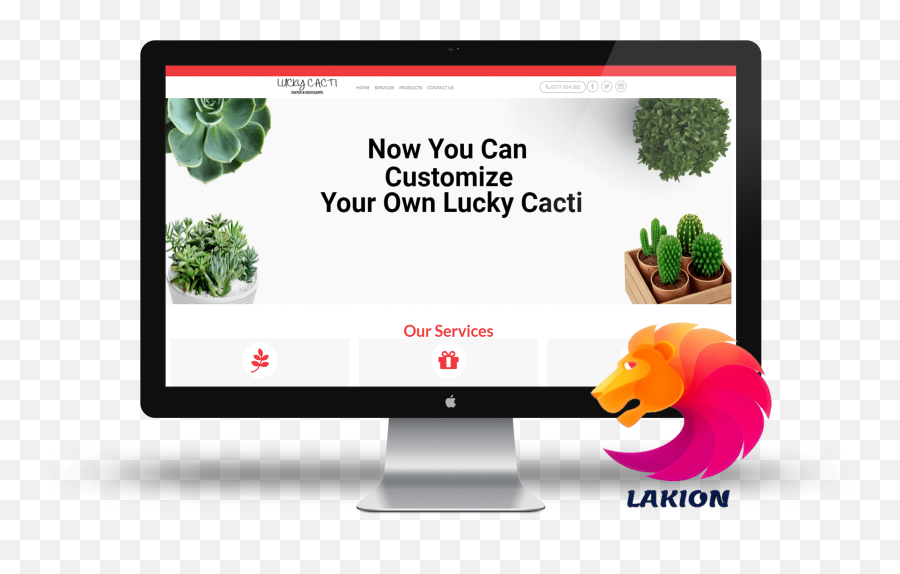 Lucky Cacti Plants - Lakion Design Png,Cacti Png