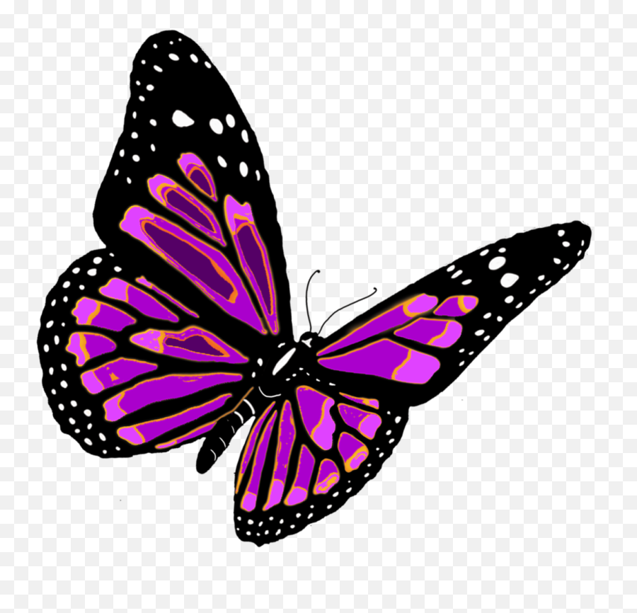Butterfly Transparent Pictures Free Icons And Backgrounds - Clip Art Flying Butterfly Png,Butterfly Transparent