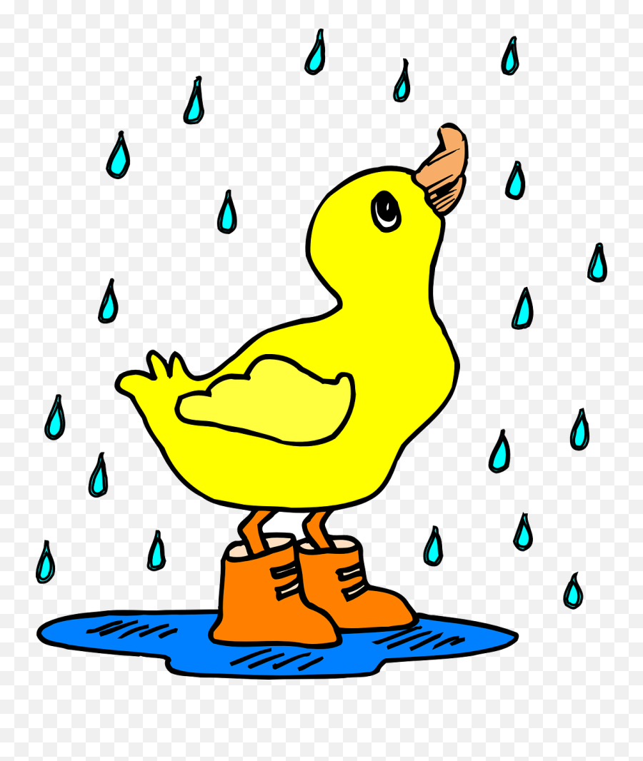 Genangan Air Png 2 Image - Duck In The Rain Clipart,Duck Clipart Png