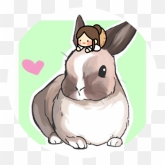 Zackeline Kazuha Waiting Room - Domestic Rabbit png