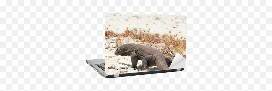 Komodo Dragon Laptop Sticker Pixers - Grizzly Bear Png,Komodo Dragon Png