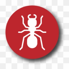 Pest Library - Ants Inspectall Services Ant Neon Png,Icon Studio Atlanta