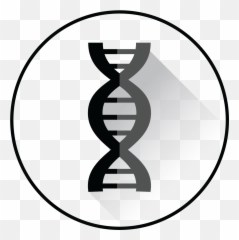 Northern Rna Manufacturing Better Future - Language png