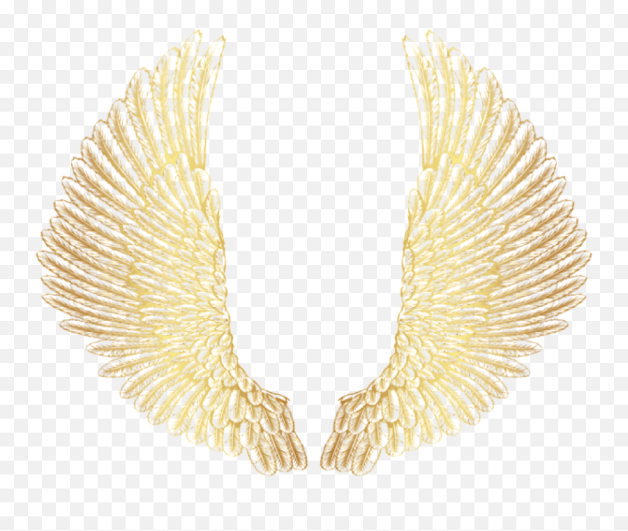 Clipart Png Photo - Transparent Gold Wings Png,Gold Wings Png