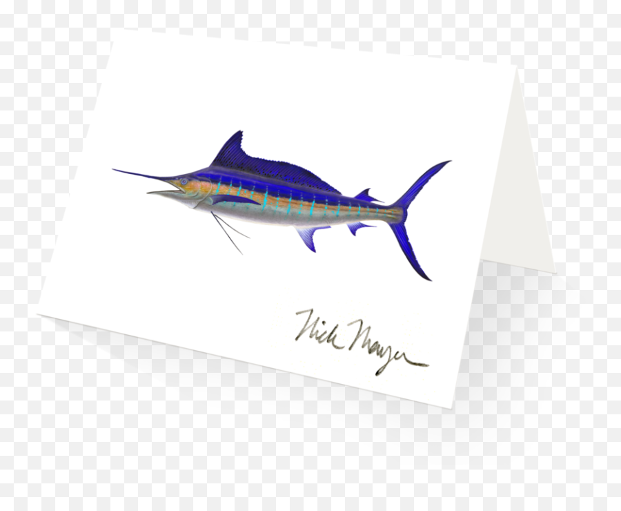 Striped Marlin - Atlantic Blue Marlin Png,Marlin Png