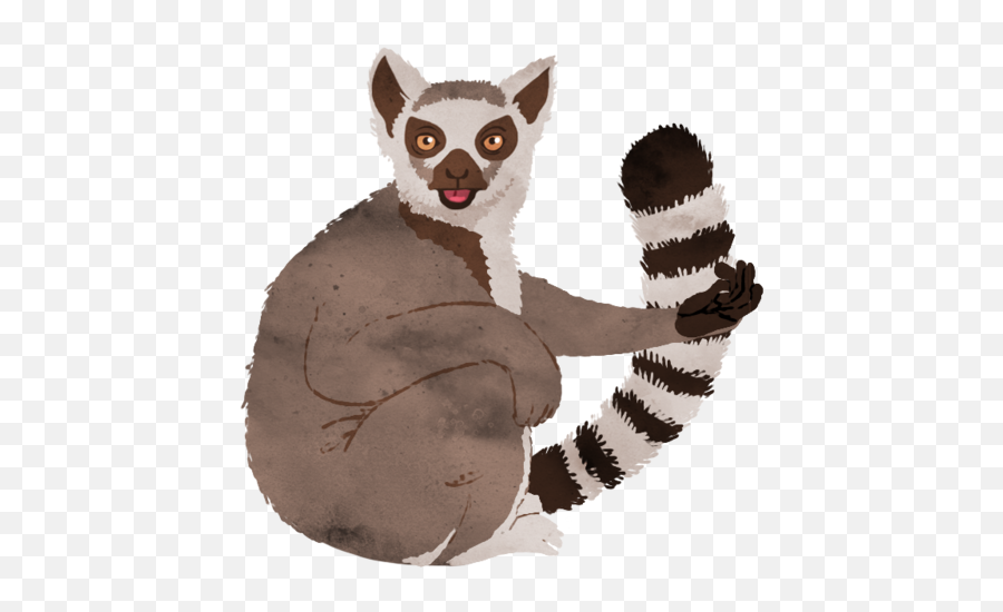 Download Animal 2 - Madagascar Cat Png,Lemur Png