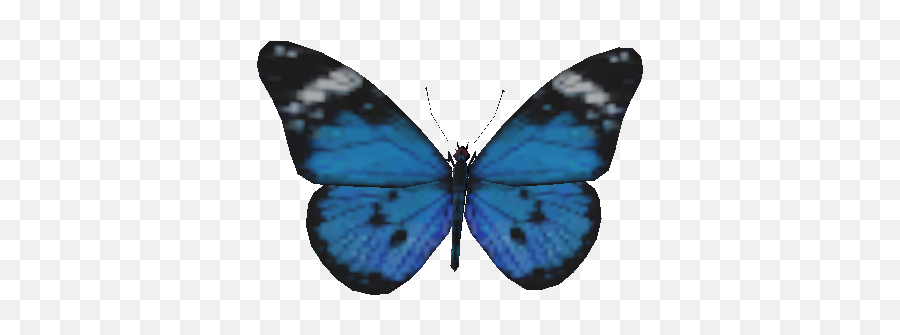 Butterflies - Official Green Hell Wiki Cyaniris Png,Blue Butterfly Png