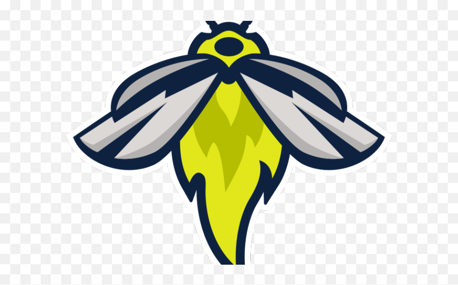 Firefly Clipart Night - Fireflies Baseball Logo Png,Firefly Png