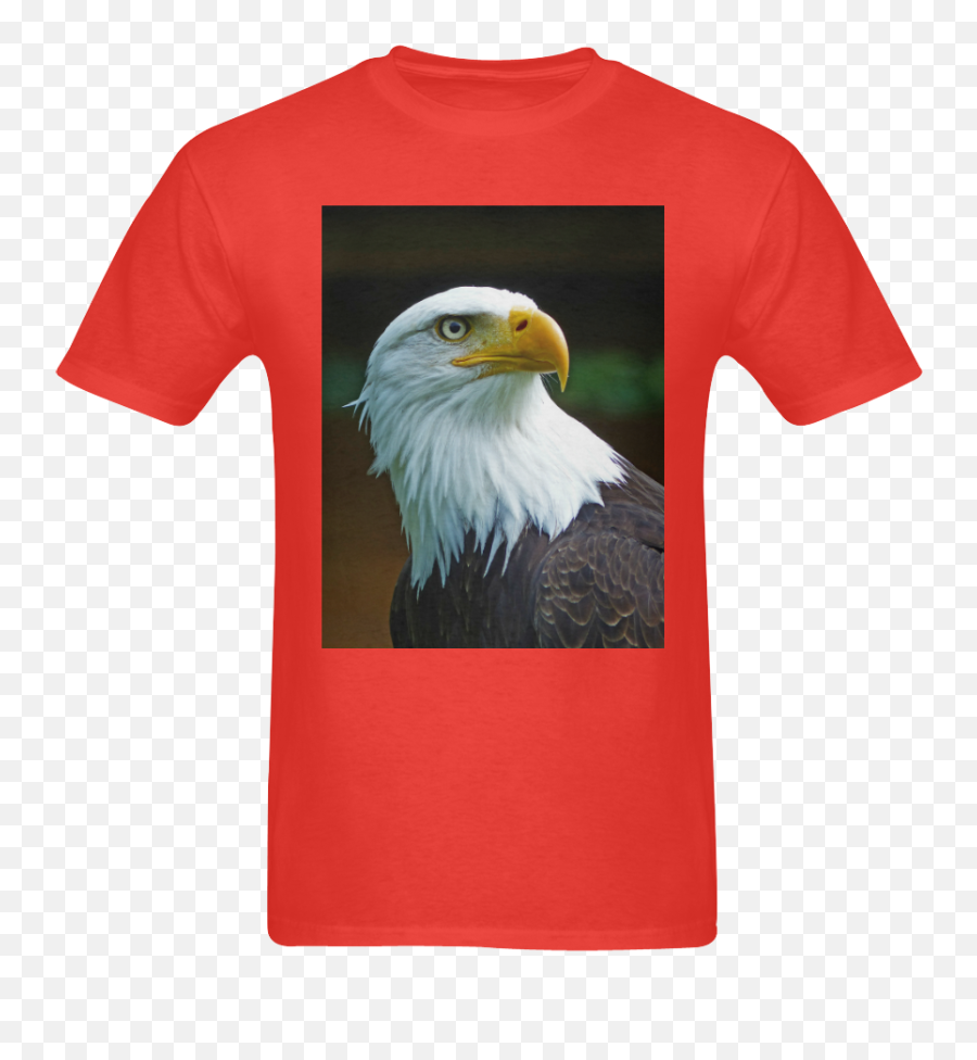 Download Bald Eagle Png Image With No Background - Pngkeycom Burung Elang Kepala Putih,Bald Eagle Png