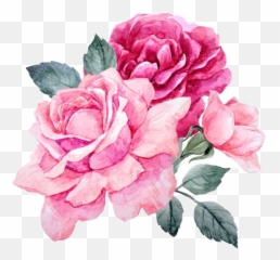 Pink Flowers Peonies Peony Rose Roses Png