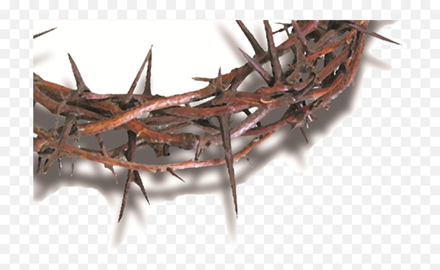 Church - Crown Of Thornes Transparent Png,Crown Of Thorns Transparent Background